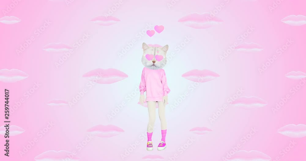 Minimal motion gif art. Dancing pretty Kitty lover. Funny animation modern design Minimal motion gif art. Dancing pretty Kitty lover. Funny animation modern design