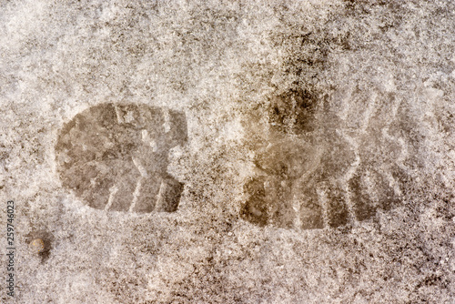 a shoeprint in the snow