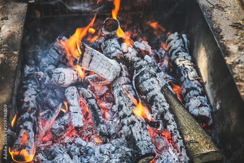 Fire burning from wood. Real flame. Place for barbecue. Ecological natural fuel. Black charcoal.