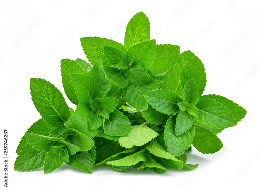 Fresh mint leafs isolated on a white background Fresh mint leafs isolated on a white background