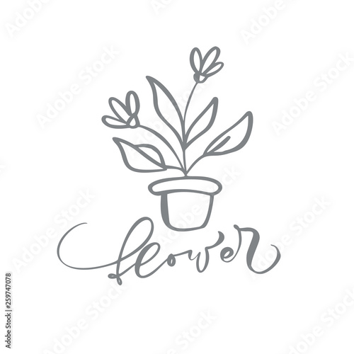 Hand drawn Simple floral icon vector from nature Florist Logo beauty  organic cosmetic  photography  wedding  hygge home decor. Calligraphic Flower outline illustration. Linear botanica symbol for gre