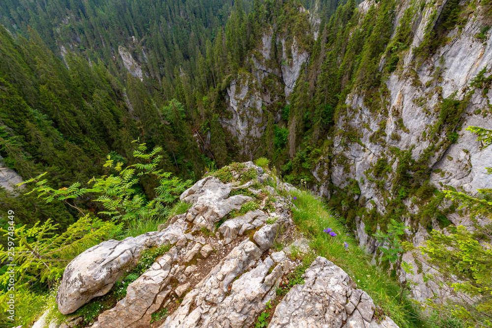 Mountain scenery in the Alps in summer, with green forests, on a rainy day Mountain scenery in the Alps in summer, with green forests, on a rainy day