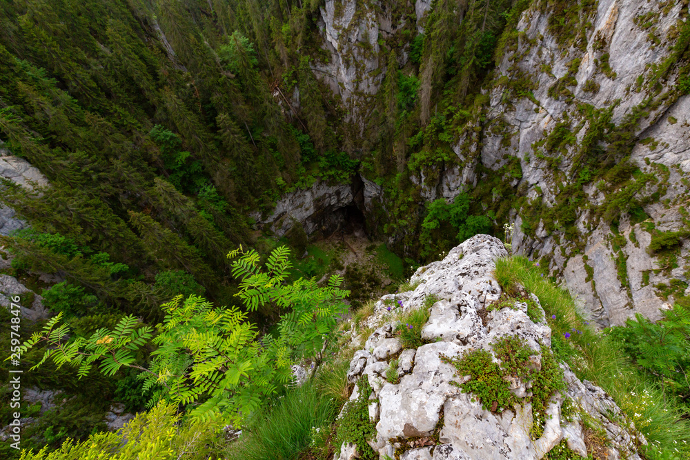Mountain scenery in the Alps in summer, with green forests, on a rainy day