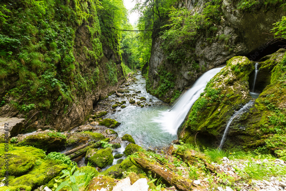 Pristine river and waterfalls deep in the mountains, in summer, and bright green foliage