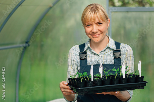 Young pretty blonde woman in blue overall working with seedlings inside greenhouse. Female farmer