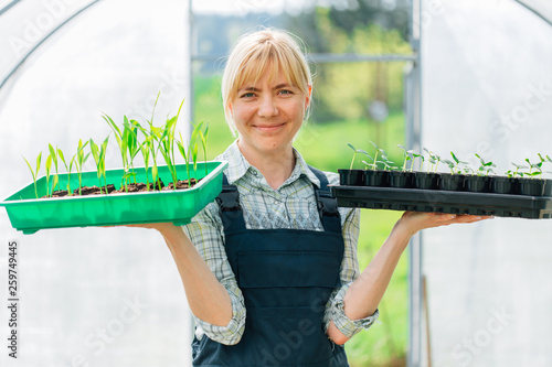 Young pretty blonde woman in blue overall working with seedlings inside greenhouse. Female farmer
