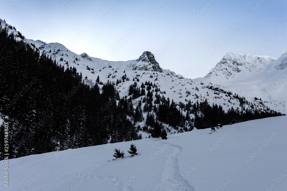 Snow Path in the Mountains
