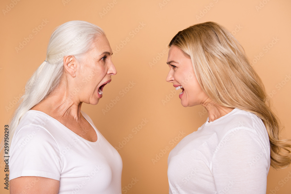 Close-up profile side view portrait of nice attractive charming lovely crazy fury mad frustrated ladies yelling loudly at each other isolated over beige pastel background