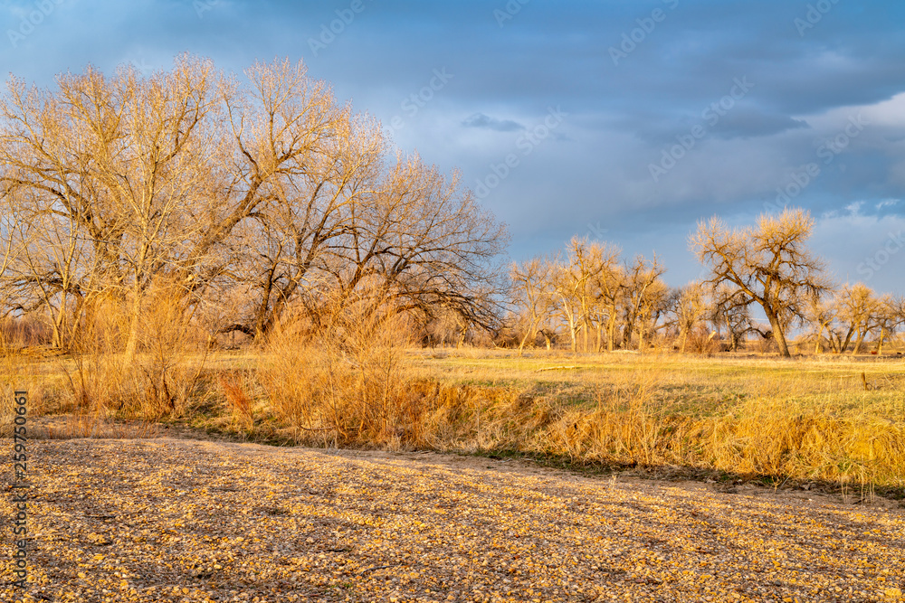rural eastern Colorado landscape