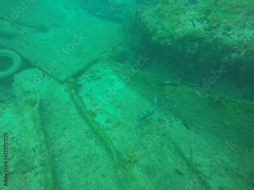 DCIM100GOPROGOPR2186.