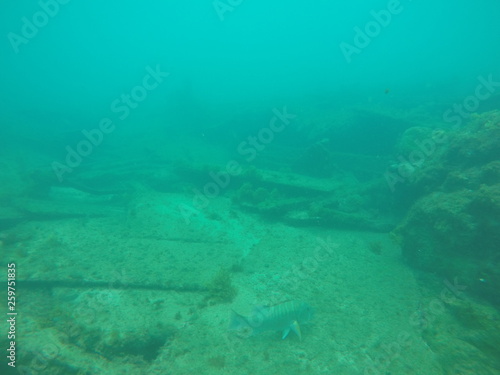 DCIM100GOPROGOPR2187.