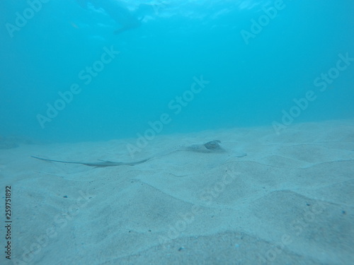 DCIM100GOPROGOPR2197.