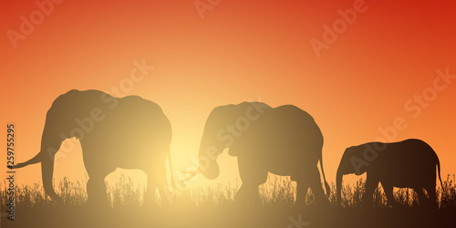 Realistic illustration with silhouette of three elephants on safari in Africa. Grass and red-orange sky with rising sun, vector
