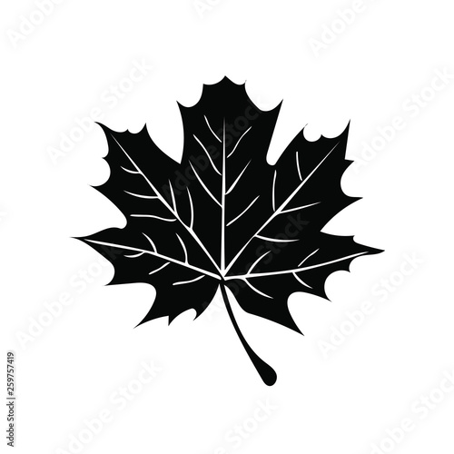 Leaf maple