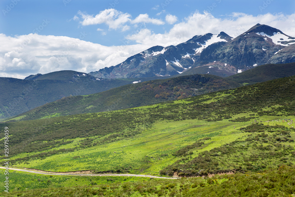 Naklejka premium Picos de Europa