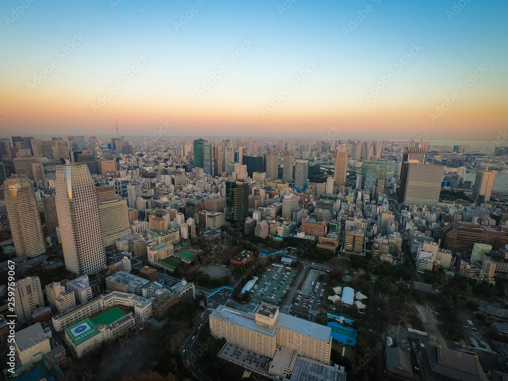 Fototapeta premium 東京タワーからの景色