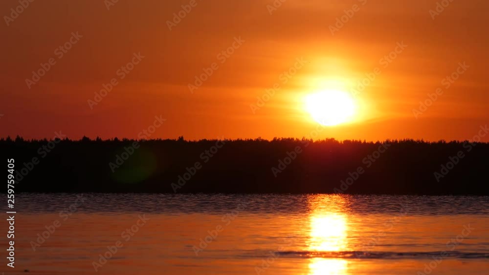 Seagull fly around, pick up something from lake water, black silhouettes against vivid orange sun. Several birds mess at place, splash on calm surface, quickly pass by.