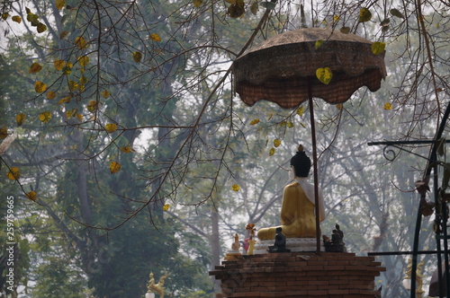 statue of buddha in Thailand temple