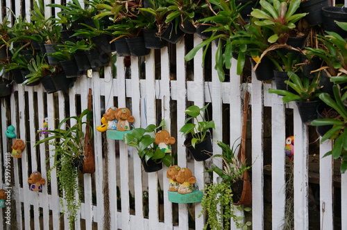 fence with wooden fence
