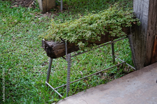 Timber pot in the garden