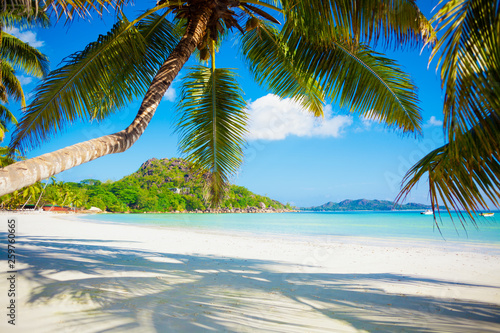 Vacation summer holidays background wallpaper - sunny tropical exotic Caribbean paradise beach with white sand in Seychelles Praslin island Thailand style with palms and rocks © Vasily Makarov