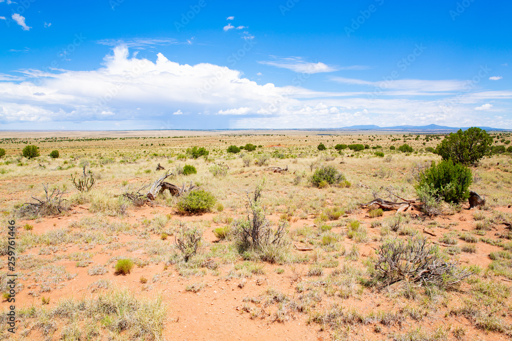 Scenic desert in New Mexico, USA