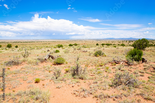 Scenic desert in New Mexico, USA