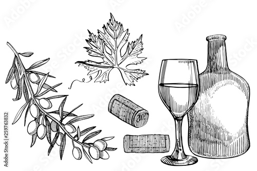 Set of vine products. Illustration in sketch style. Hand drawn design elements. Isolated on white background. Engraving style illustrations.