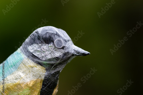 Recycled plastic and foil waste Great Tit bird sculpture.