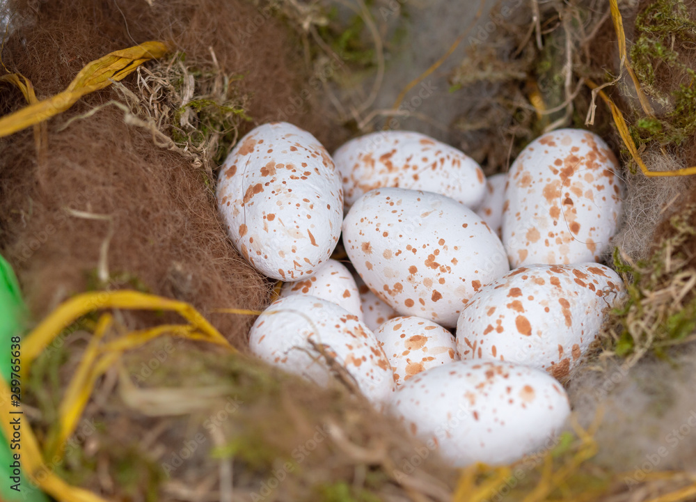 Garden bird nest sculpture. Ceramic eggs, felted wool nest. Garden bird nest sculpture. Ceramic eggs, felted wool nest.
