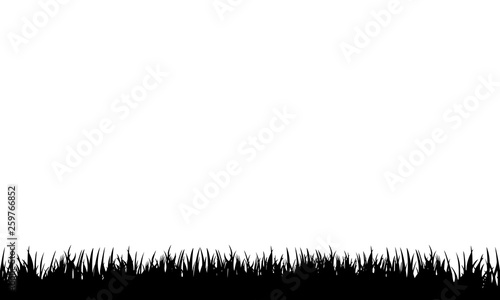 Vector set of black Grass Silhouettes on White Backround