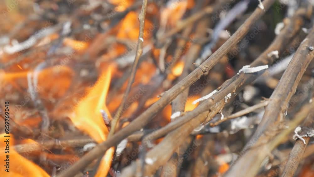Burning grass and branches close up view. Dangerous wild fire in nature Burning grass and branches close up view. Dangerous wild fire in nature