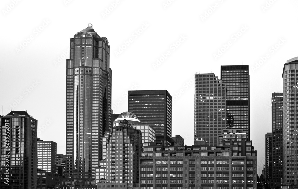 Fototapeta premium city skyline