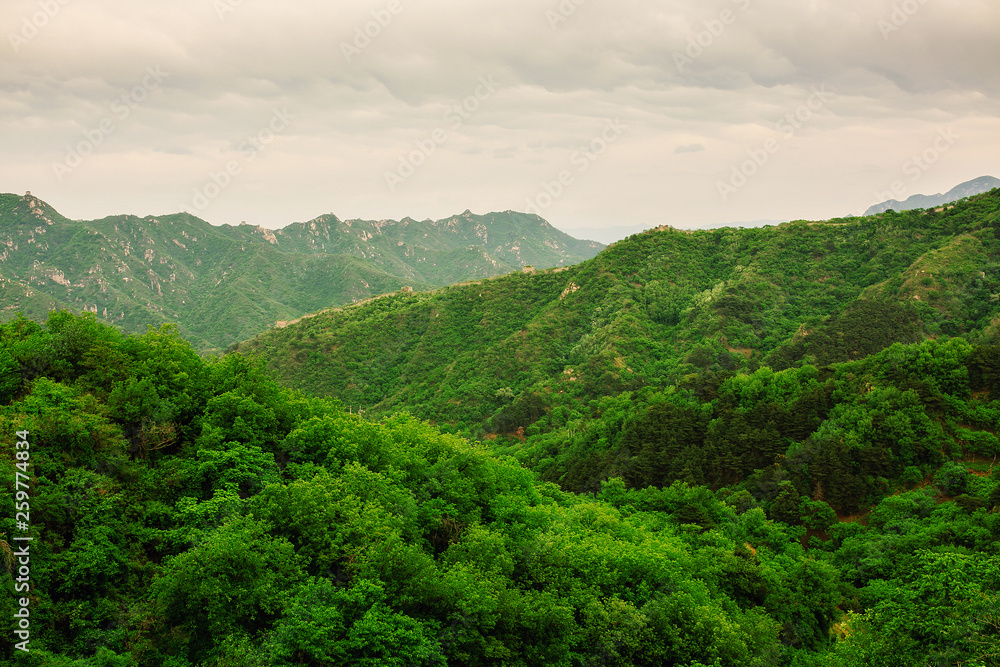 Great Wall of China in Summer. Mutianyu section near Beijing Great Wall of China in Summer. Mutianyu section near Beijing