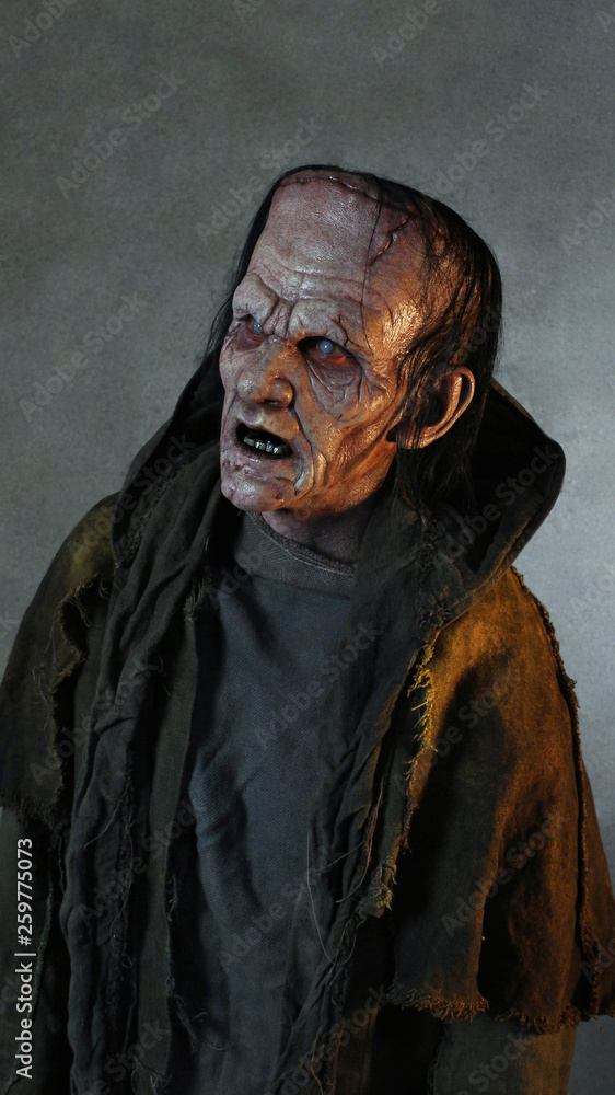 The Monster Frankenstein 2 The Monster Frankenstein 2