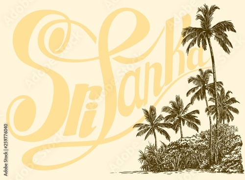 Inscription, palm trees and tropical thickets on the sand