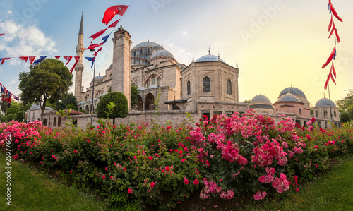 Sehzade Camii or the Prince Mosque on sunset with flowers, Istanbul, Turkey photo