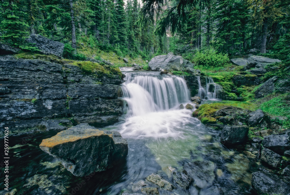 Fototapeta premium Waterfall and stream between Scarab Lake and Egypt Lake, Banff National Park, Alberta, Canada