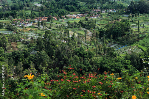 Aerial view, Lembang, West Java, Indonesia photo