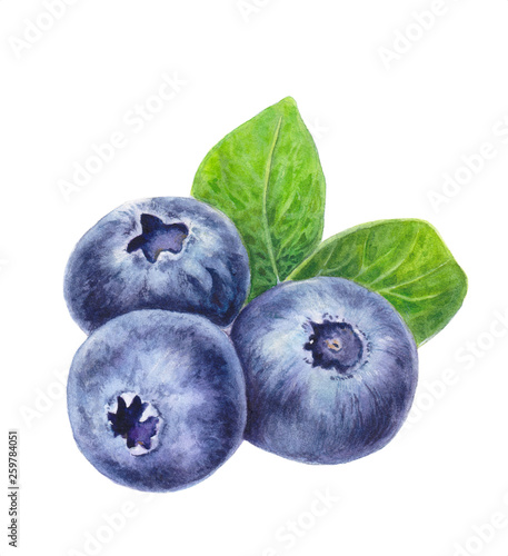 Blueberries with leaves isolated on white background Fototapet