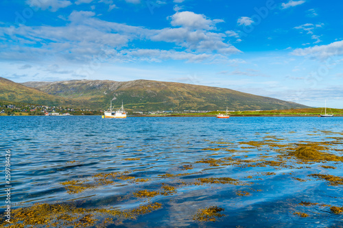 View of Eidkjosen on Kvaloya island in Troms county across the fjord, Norway photo