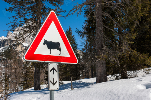 Φωτογραφία Cow traffic european sign (red triangle) with mountains on background