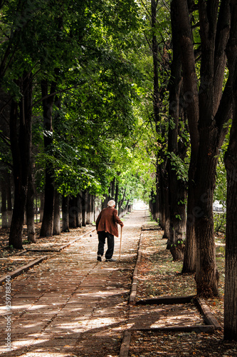 an old man with a cane walks along the path in the park