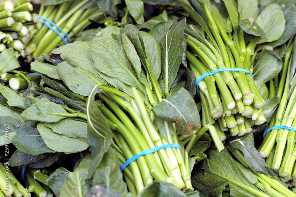 Obraz premium choy sum oil seed rape asian green at the farmers market