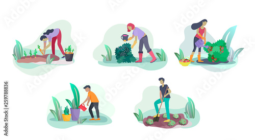 Harvesting and gardening people doing farming and garden job, pick berries, remove weeds, watering, planting, growing and transplant sprouts, lay ripe vegetables to box. Reaping crop concept