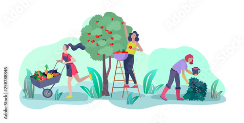 Harvesting and gardening people doing farming and garden job, pick berries, remove weeds, watering, planting, growing and transplant sprouts, lay ripe vegetables to box. Reaping crop concept