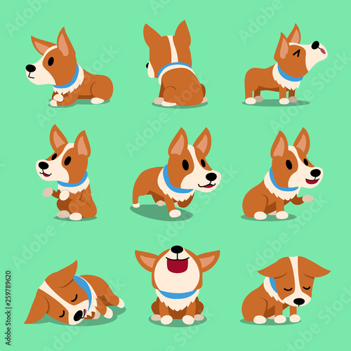 Vector cartoon character corgi dog poses for design.