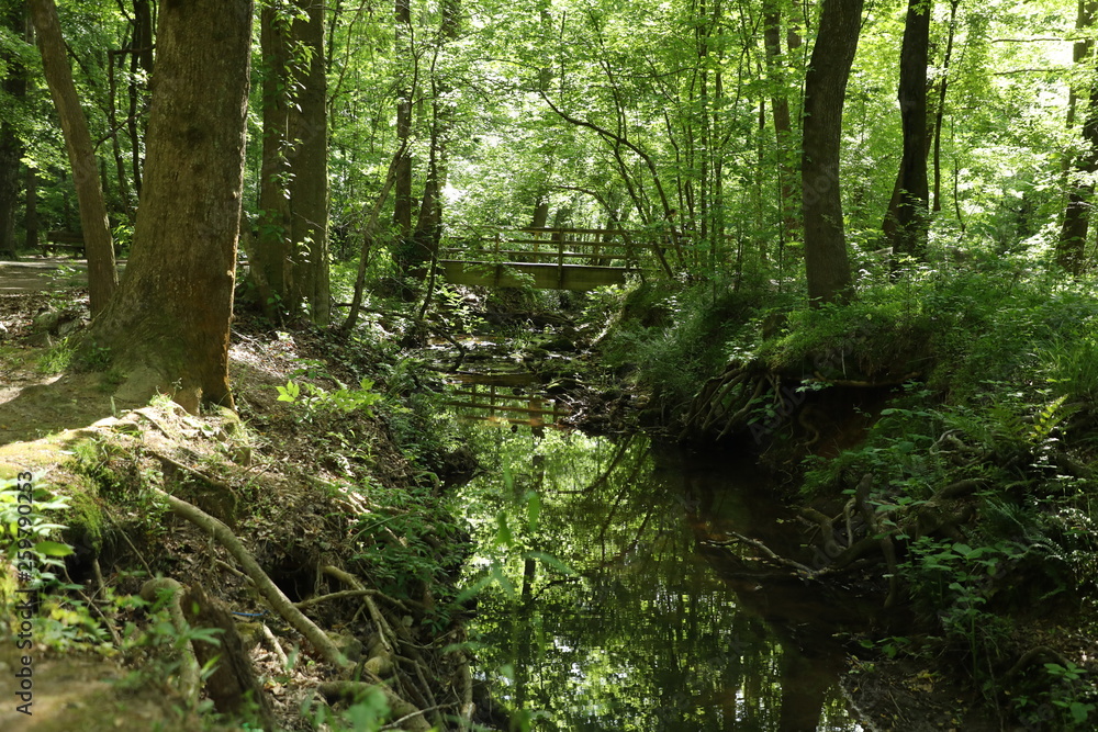 Green Woods Park Green Woods Park