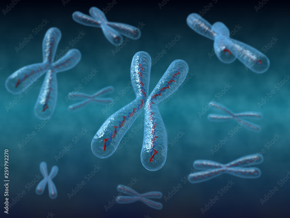Chomosomes with DNA 3d render image Chomosomes with DNA 3d render image