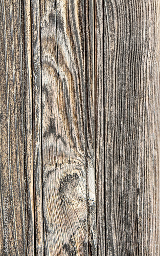 The structure of the old wooden planks as a background